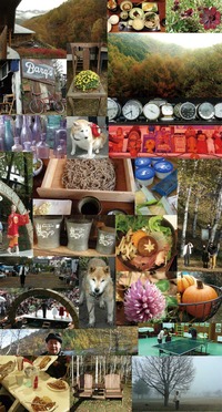 shinshu2011