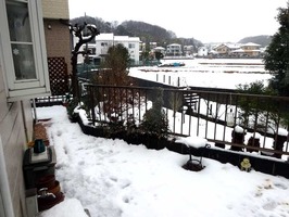 20160118