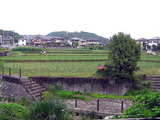2006.taue