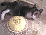 メロンパン