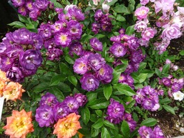 20140530