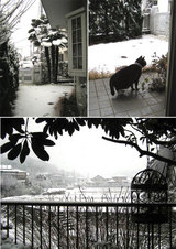 snow
