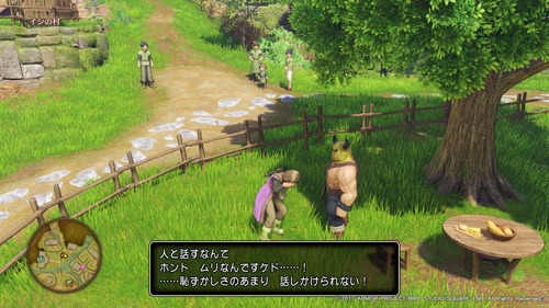 ドラゴンクエストXI 過ぎ去りし時を求めて_20170730182615