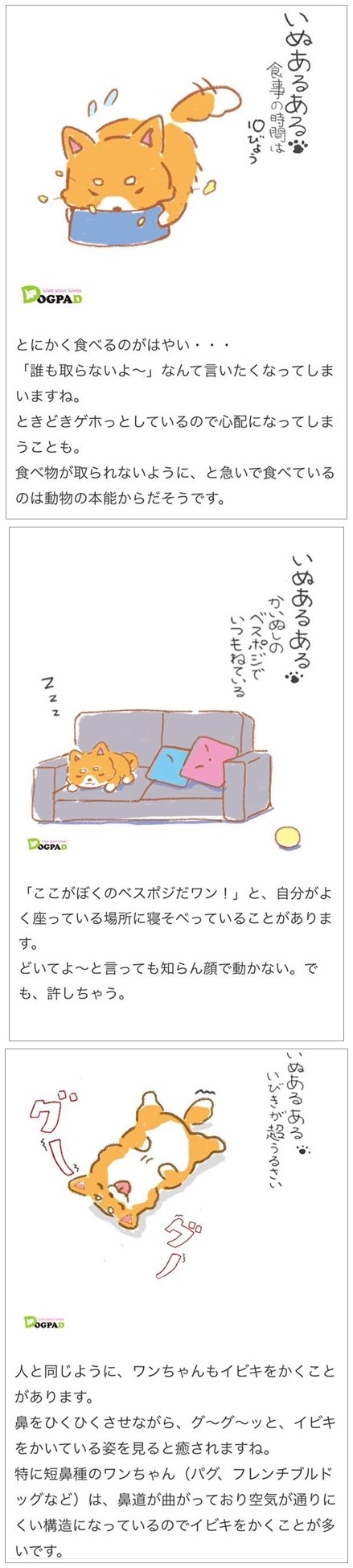 5 (8)-vert