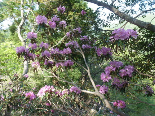 P1060791