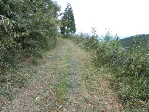 DSCN6911