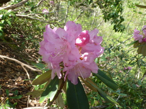 P1060767