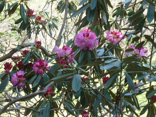 P1060784