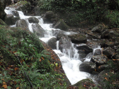 P1050456