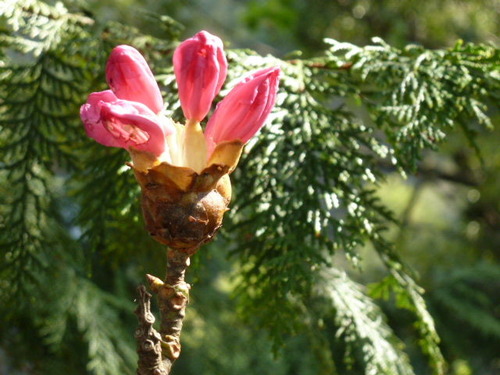 P1060792