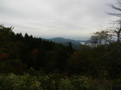 DSCN2029