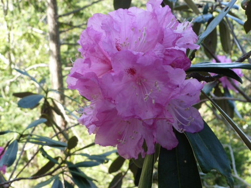 P1060786