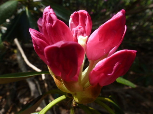 P1060758