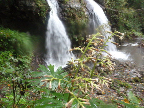 P1050448