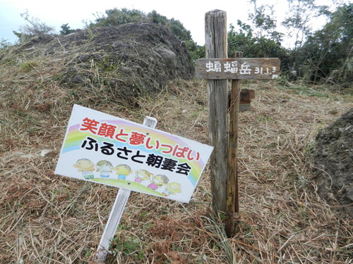 DSCN6919