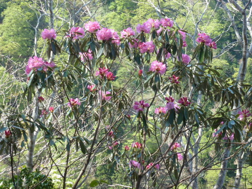 P1060783