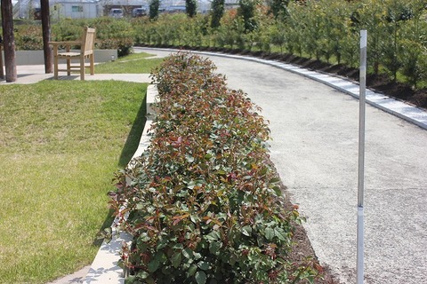 david0507 032