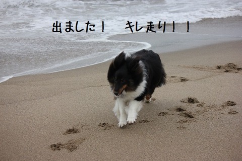 david0430 015