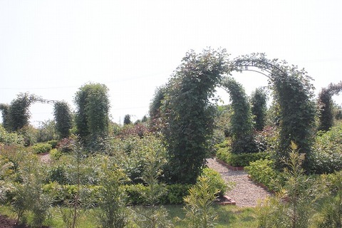 david0507 033