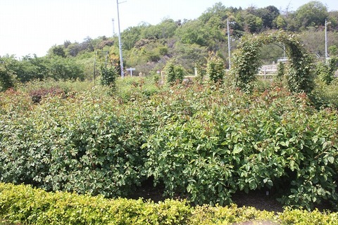 david0507 019