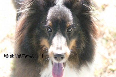 david0512 004