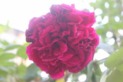 david0513 017