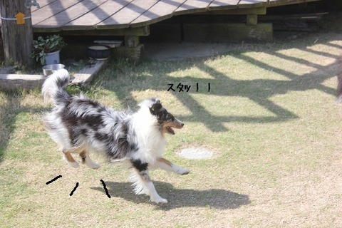david0517 004