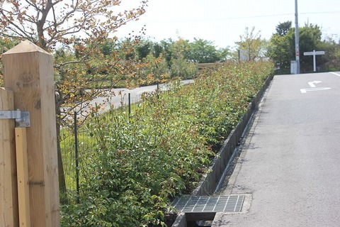 david0507 035
