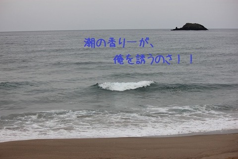 david0430 037