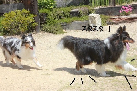david0517 020