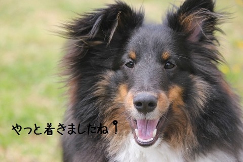 david0426 011