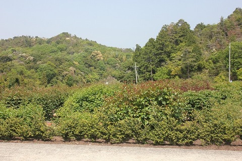 david0507 024