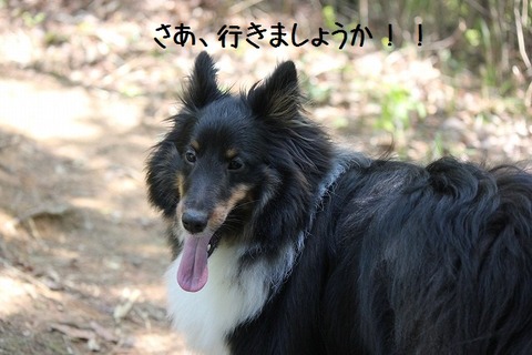 david0426 021