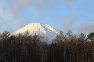 IMG_6495-3