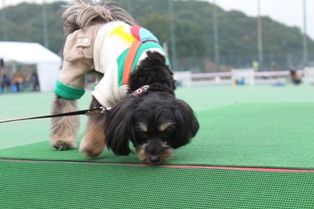 IMG_4268-2