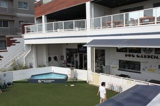 IMG_3778-2