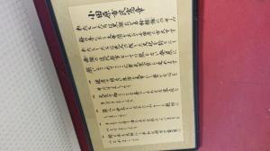 IMG_20141114_193941.jpg