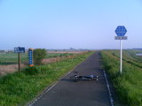 4aad801f.jpg
