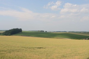 DSC_6217