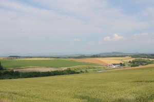 DSC_6215
