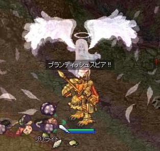 screeniris066.jpg
