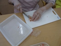 RIMG0854