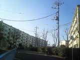 0cd9f1f8.jpg