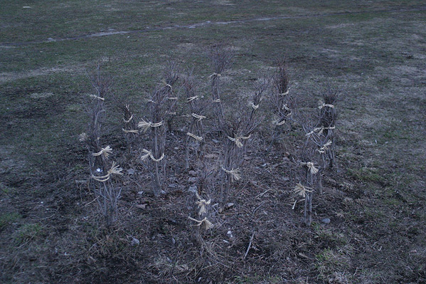 20100411-p08