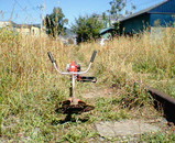 29692d21.jpg