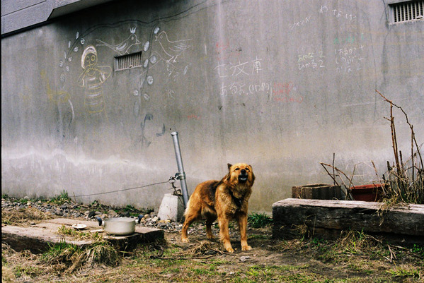 20100417-p08