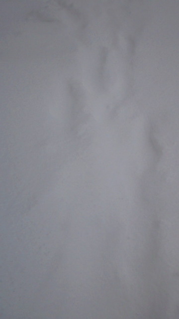 3fa29539.jpg