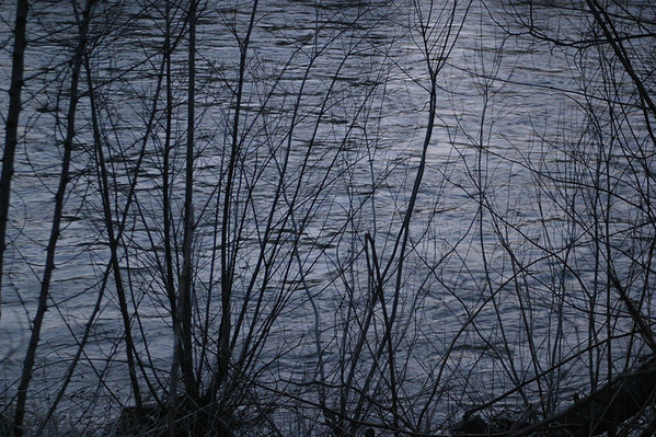 20100411-p04