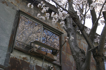 20090504-p05