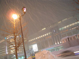 20050228-p02.jpg
